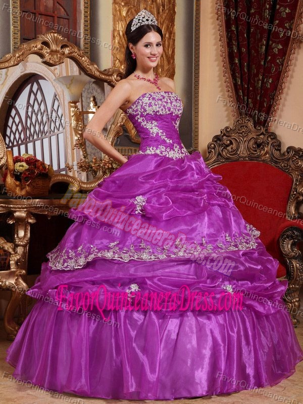 New Style Fuchsia Strapless Appliqued Quinceanera Dress in Organza