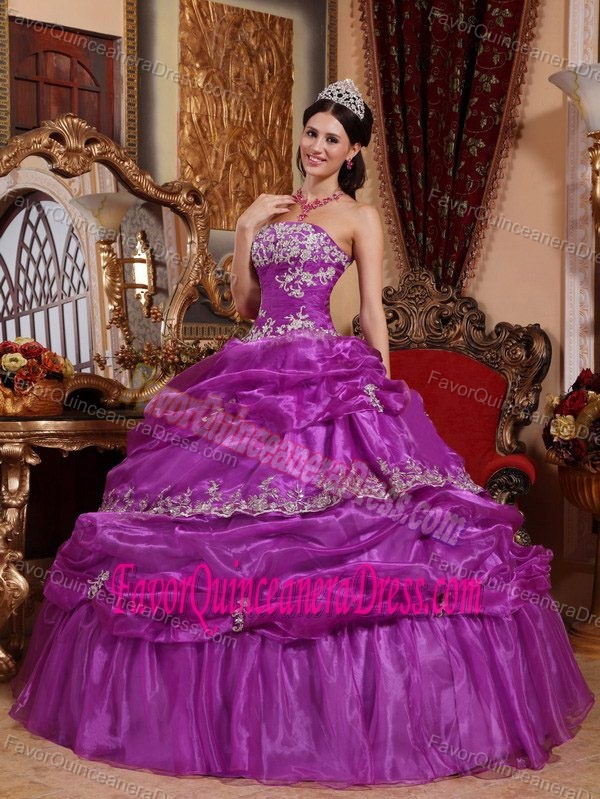 New Style Fuchsia Strapless Appliqued Quinceanera Dress in Organza