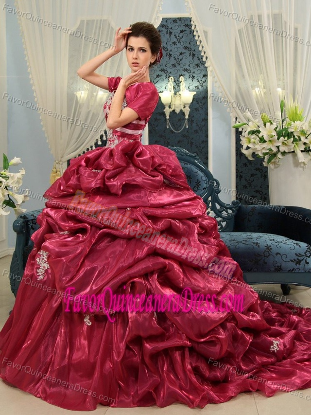 Fuchsia Spaghetti Strap Chapel Train Organza Quinceanera Dress with Pick Ups